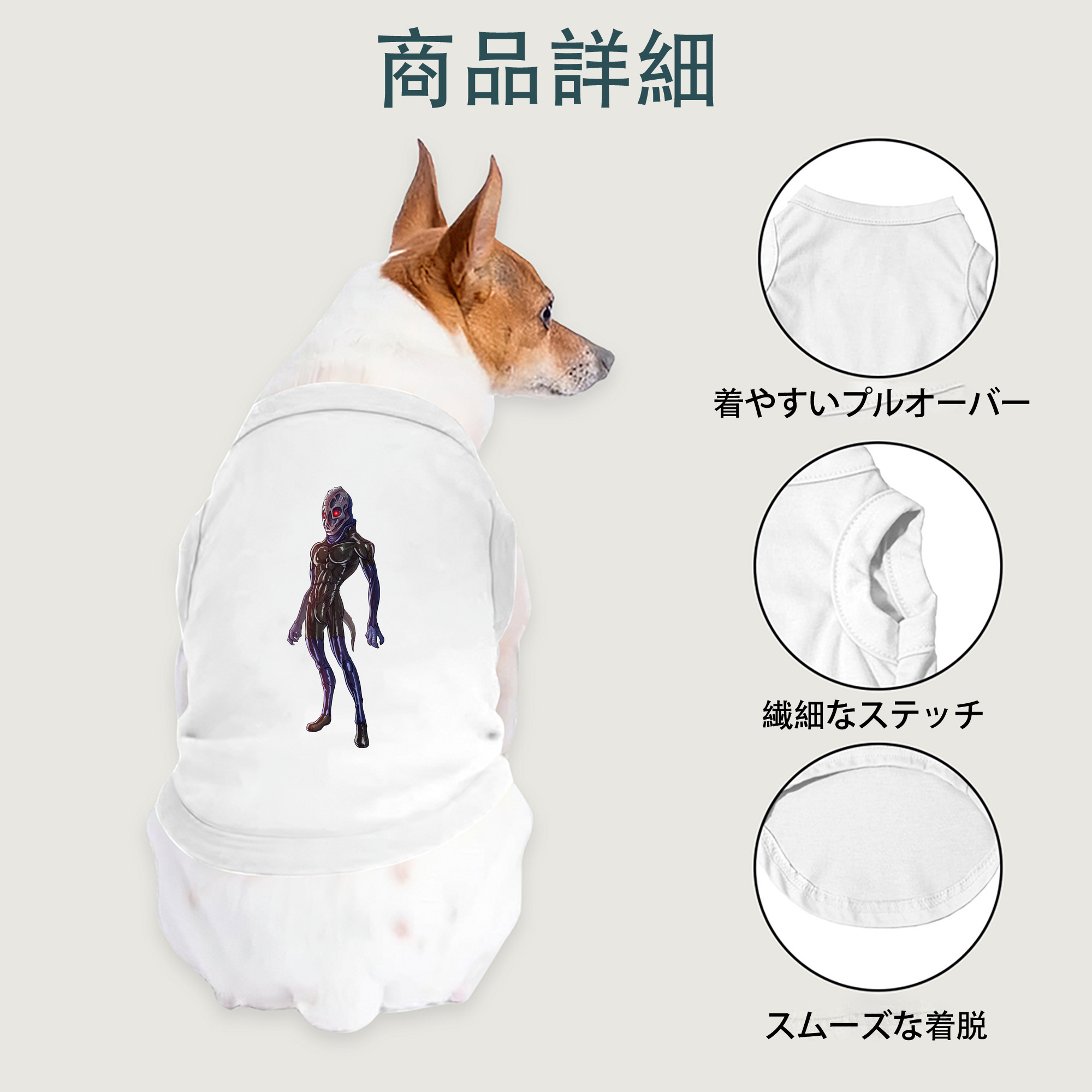 一般的なイメージ